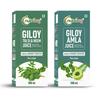 Nutriorg Giloy, Amla, Tulsi & Neem Juice | Immunity Booster | 500 ml (Pack of 2) view 1