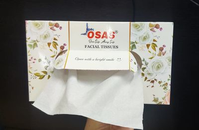 Facial Tissue Soft 2 Ply - 100 Pulls (PACK OF 3)