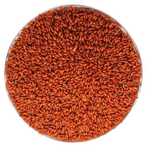 CHATOKDE Garden CRESS HALIM Seed (ASALIYA), 200g