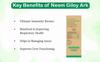 ayurvedix Neem Giloy Ark | Hydrosol | Includes Neem Giloy/Guduchi/Gulvel Distillate For Building Immunity, Strengthens Immunity, Respiratory Problems | 200Ml, Pack Of 1, Syrup view 4