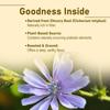 mi nature Chicory Root Powder | Cichorium intybus | Blue Daisy/Dandelion/Sailors | Coffee Alternative, Acid Free, Caffeine Free | 100% Natural powder | from India.| 227g (8 oz.) view 3