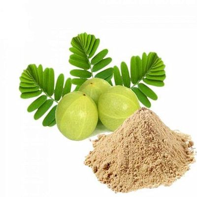 Biologically Proven Amla Powder For Hair Treatment And Scrubbing Skin 100% Natural Organic