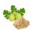 Biologically Proven Amla Powder For Hair Treatment And Scrubbing Skin 100% Natural Organic view 1