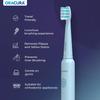 ORACURA SB200 Blue Electric Toothbrush for Men & Women, 1 Year Warranty, 36,000 strokes/min, 3 Modes, IPX7 Waterproof, 25 Days Charging Time Cycle, 2 Mins Auto-Timer view 3