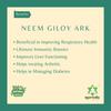 Ayurvedix Neem Giloy Ark | Hydrosol | Includes Neem Giloy/Guduchi/Gulvel Distillate for Building Immunity, Strengthens immunity, Respiratory Problems | 200ml, Pack of 2 view 2