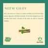 Ayurvedix Neem Giloy Ark | Hydrosol | Includes Neem Giloy/Guduchi/Gulvel Distillate for Building Immunity, Strengthens immunity, Respiratory Problems | 200ml, Pack of 2 view 4