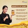 Dr. Morepen Natural & Pure Honey Nmr Tested & No Sugar Adulteration 250G Pack Of 3 view 3