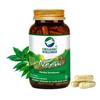 Organic Wellness Neem Ayurvedic Capsules Blood Purifier Anti Acne Anti Bacterial & Fungal infections Improves Skin Health 100% Organic & Safe (90 N Veg Capsules) view 1
