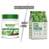 bGREEN by HealthKart Vegan Plant Protein Powder (Chocolate, 500g, 13 Servings) | 25g Protein (Pea Protein Isolate & Pumpkin Seed) view 2