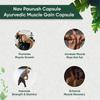 Ambic Nav Paurush Capsule I Ayurvedic Muscle Gain Capsules For Strength & Stamina I Supports Healthy Weight Gain & Improves Muscle Recovery I 240 Capsule + Tablet (Pack Of 4) view 2