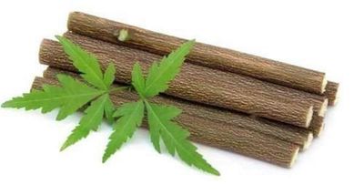 Adult Ayurvedic Natural Organic Neem Datun Manual Toothbrush Nim Tree Twigs Chew Sticks (Pack Of 20) Ava59