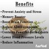 AarVed Brahmi Powder (Centella Asiatica/Gotu kola/Mandukaparni) - 200gms  for Mental Vitality, Cocentration, Focus Improvement & Alertness  Relieve Anxiety, Natural Stress Reliever view 2