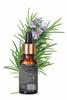 Blise organic Rosemary Essential Oil -100% Pure and Naturals, For Hair fall control and Growth, Clinically Tested and Soil to Oil Certified, Stenghtens Overall Hair Health view 3