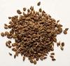 OREGANO 180 SEED ORGNO122 view 2