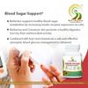 BB Back to Beginnings Complete Wellness Berberine - Banaba With Cinnamon, Gymnema & Ginseng 500 Mg | For Blood Sugar Management | 60 Veg Caps view 4
