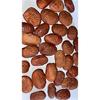 SPH - Kanuga Oil - Honge - Karanja - Pungai - Millettia Pinnata - Pongamia - Oil - 500 ML view 1