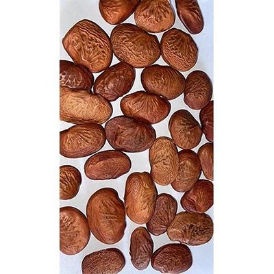 SPH - Kanuga Oil - Honge - Karanja - Pungai - Millettia Pinnata - Pongamia - Oil - 250 ML