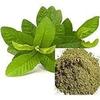 Sree Madhava Sai Organics Guava Leaves/Amrood Patti/Koiya ilai Powder - 200 Grams view 3