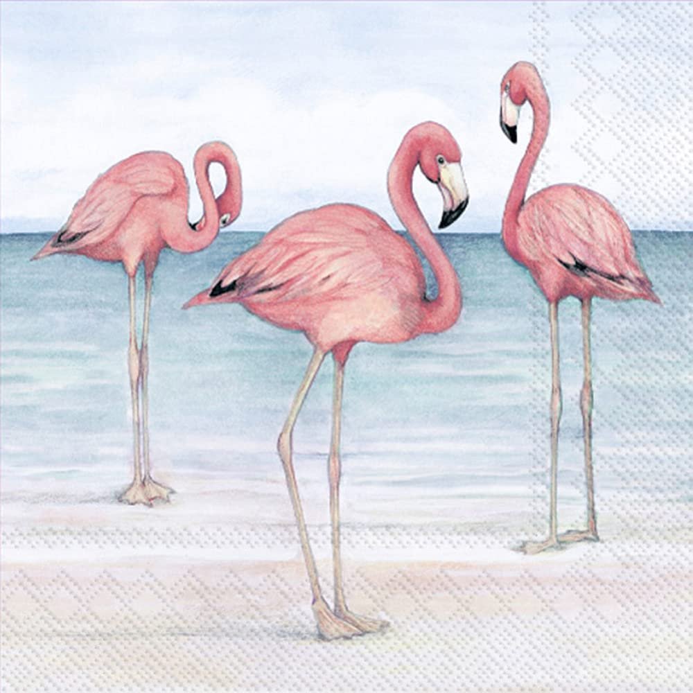 Boston International IHR 3-Ply Paper Napkins, 20-Count Cocktail Size, Flamingo Trio On Beach