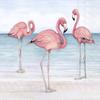 Boston International IHR 3-Ply Paper Napkins, 20-Count Cocktail Size, Flamingo Trio On Beach view 1