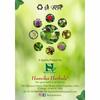 Hanvika Herbals Bala Powder - 100% Sida Cordifolia Roots (100 gm) view 3