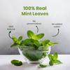 BLUE TEA - Mint Tea - 100g - 100 Cups || DIGESTION CARE || Herbs - Caffeine Free - Leaf Based - Herbal Tea - Non-GMO - Gluten Free - Non-Bitter | Featured In Shark Tank | Pet Jar Pack view 2