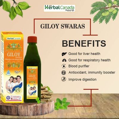 HERBAL CANADA Giloy Ras | 500 ML | Naturally Immunity Booster | Natural Source of Antioxidants for Detoxification | Good for Liver and Skin Health - Pack of (3)