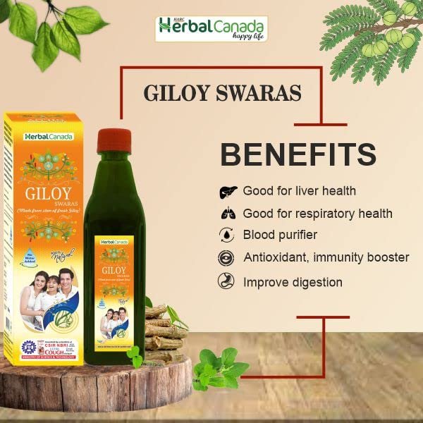 HERBAL CANADA Giloy Ras | 500 ML | Naturally Immunity Booster | Natural Source of Antioxidants for Detoxification | Good for Liver and Skin Health - Pack of (3)