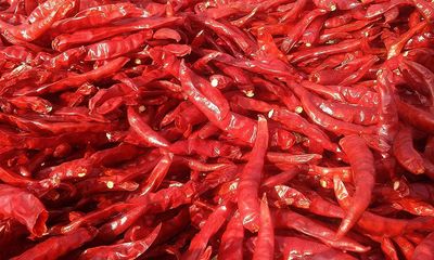 PNC Quality bazar Dry Guntur Red Chilli 500 GM