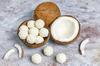 CHATOKDE Coconut Peda | Coconut Balls | Home Made Coconut Balls, 900g view 2