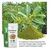 NeutraVed Gudmar Powder for Diabetes 100g | Gymnema Sylvestre (Madhunashini) | Herbal Sugar Support in Zipper Pouch view 2