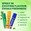 Geofresh Mouth Freshener spray | Paan Flavour + Elaichi Flavour + Mint Flavour | Mouth Freshener Spray For men | Mouth Spray Freshener - Pack of 3 (15g Each) view 3