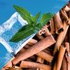 Stay Cool Breath Freshener Spray (Cool Mint + Cinnamon, Combo, Pack of 2) view 2