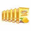 Ice Cream Mix Powder Mango 500g (5*100g) view 1