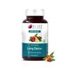 Bliss Welness Lung Detox,Curcumin Stinging Nettle Arjuna Vasaka Beetroot Punerneva Trikatu Kateri Echinecea Piperine - 60 Vegetarian Tablets view 1