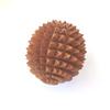 Silistar Wood Manual Revolving under Foot Exercise Roller (Rod) Acupressure Massager Acupuncture with Ball Massager view 4