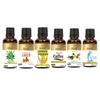 100% Pure Smell Fragrance Oil Aloe vera|Amber| Banana| |Coffee|Vanilla|Aqua| For Bathbomb|Herbal Handmade Soap|Room Freshener|Diffusion| Meditation(Pack of 6) 10 Ml each view 1