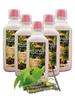 Sunchan Group Giloy Tulsi Papaya Juice Pure Organic Herbal 500x5 ML/Pure Organic Giloy/Guchcha/Giloy Guduchi Amrita Bela/Geeloh/Amrta/Tinospora Cordifolia/Giloy 2500 ML (Pack Of 5) view 1