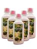 Sunchan Group Giloy Tulsi Papaya Juice Pure Organic Herbal 500x5 ML/Pure Organic Giloy/Guchcha/Giloy Guduchi Amrita Bela/Geeloh/Amrta/Tinospora Cordifolia/Giloy 2500 ML (Pack Of 5) view 2