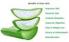 Aloevera view 4
