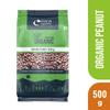 Turn Organic Peanuts Raw, 500 g (Pack Of 2) view 3