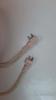2 PIN SINGLE CORD REGULAR 90 CM - 10 PCS view 4