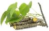 Giloy Fresh Neem Tree Giloy Plantation Sticks/Stems (7-Inch) - Set of 30 (Natural Immunity Booster) Direct From Village, Green (giloy_30) view 2