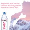 Evian Natural Spring Water, Naturally Filtered Spring Water in Large Bottles, (1 Litre x 12 Units) view 4