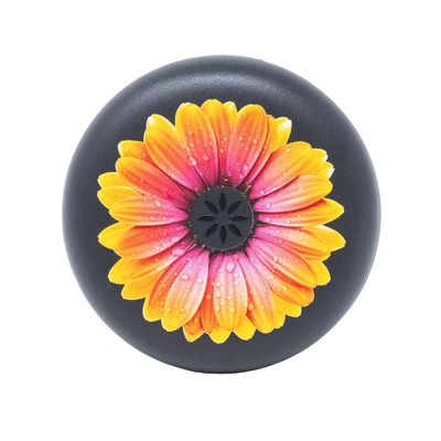 Invisalign Aligner and Retainer Case (Textured Orange Daisy)