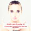Hollywood Secrets Pure Helichrysum Essential Oil Therapeutic Grade 100ml view 4