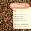 Neotea Small Millets Horse Gram Kanji Mix, 500GM  Healthy, Nutrient-Rich, High-Protein, Fiber-Rich, Ideal for Traditional South Indian Drink, Vegan & Gluten-Free view 2