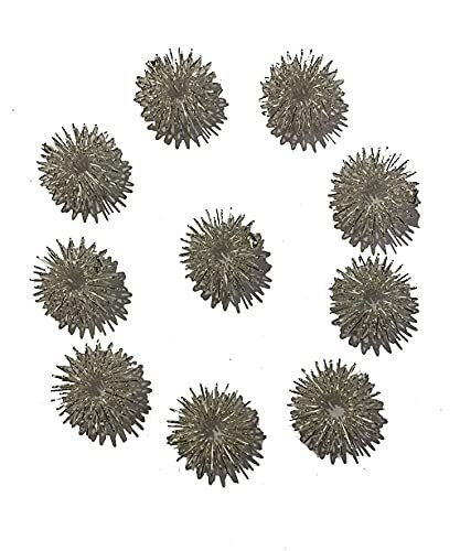 ACM Steel Sujok Finger Ring, Combo, Pack, 10 Pc, Silver