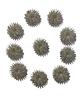 ACM Steel Sujok Finger Ring, Combo, Pack, 10 Pc, Silver view 1