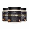 Oilanic Pure and Natural Gokhru Powder for Hair and Skin (Pack of 3, Each 100g)|Ayurvedic Powder for Maintain Hair Growth, for Men and Women No Preservatives, Chemical-Free Herbal Hair Care powder view 1